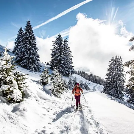 Gelinote Gl3 Telecabine & Mountain 4 Pers * Châtel