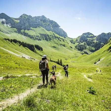 Gelinote Gl3 Telecabine & Mountain 4 Pers